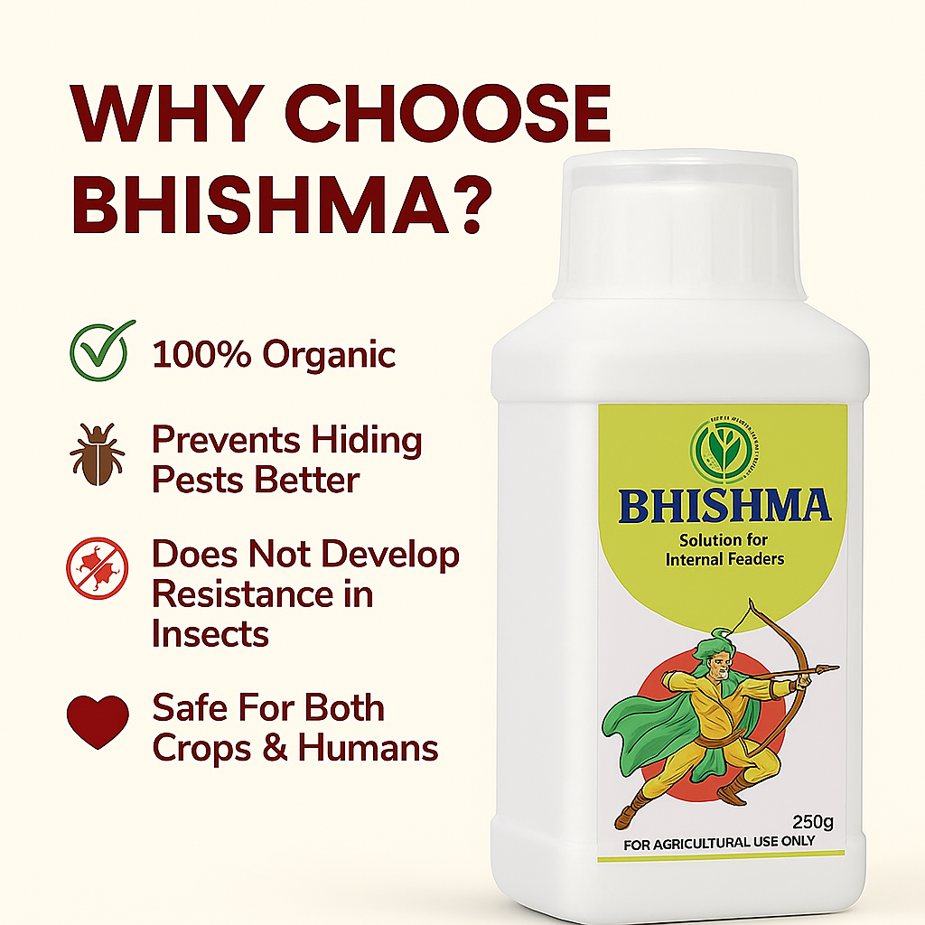 Home 02dcb9f0 1c48 47f0 8d66 f49996399773