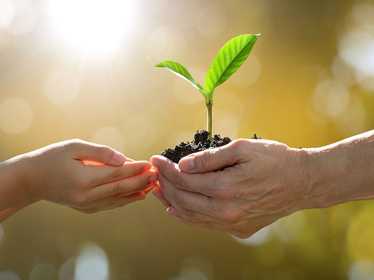 6d099207ee9f105a6742c6fd7f4d490c