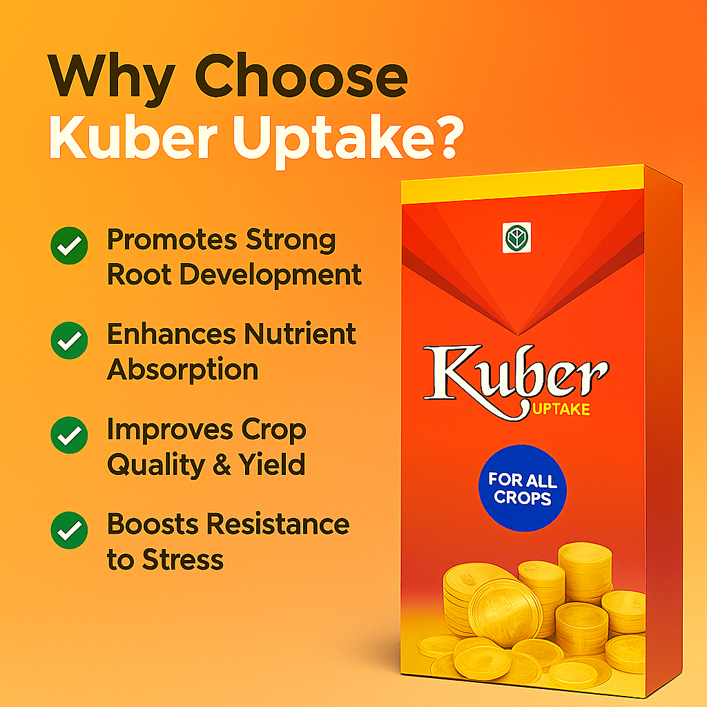 Home 7e5f8d52 8ce2 4440 9297 9dde566129f2