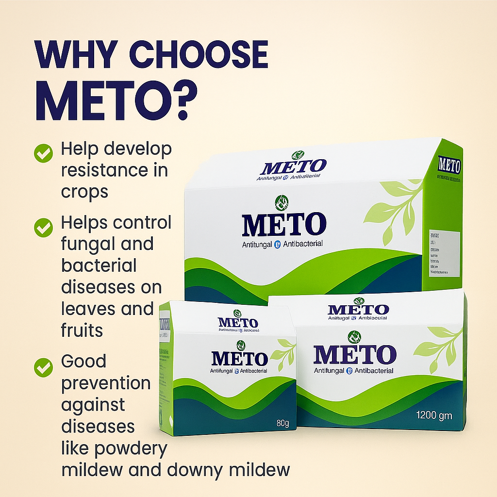 Home 9b974b89 3abd 4ed3 b8b6 c82fd0eb5a03