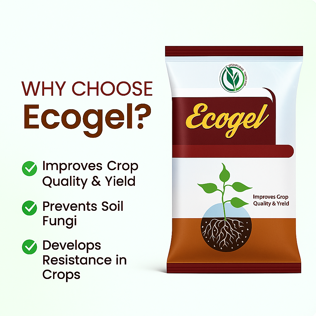 Home a9712e36 207f 4caa a0e8 41337a8d508a