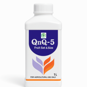 qnq 5