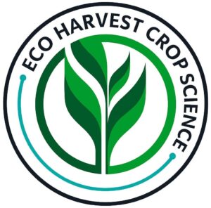 whatsapp image 2025 08 03 at 10.53.42 am